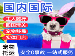西宁空运地址国际宠物托运 【国